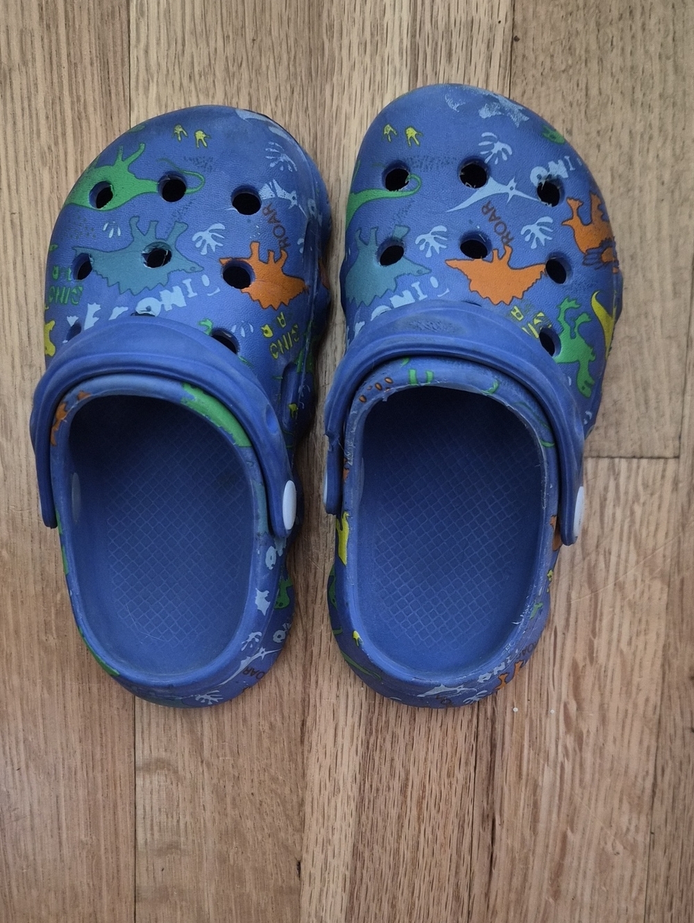 Kids Blue Dinosaur Clog Shoes